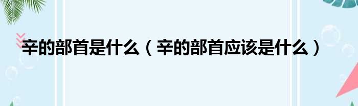 辛的部首是什么（辛的部首应该是什么）