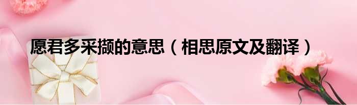 愿君多采撷的意思（相思原文及翻译）