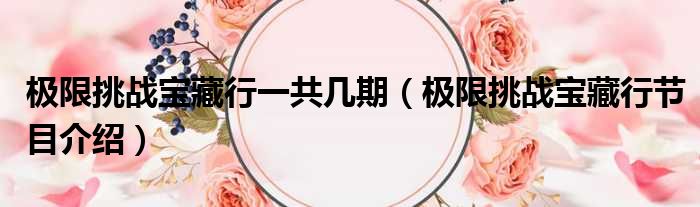 极限挑战宝藏行一共几期（极限挑战宝藏行节目介绍）