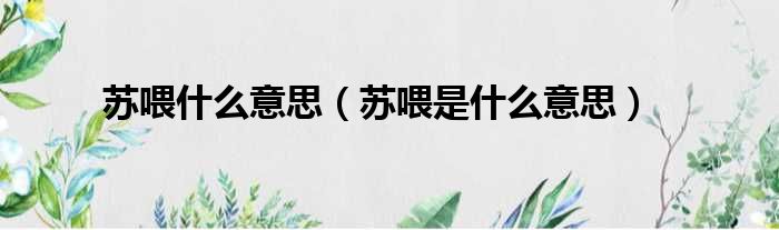 苏喂什么意思（苏喂是什么意思）
