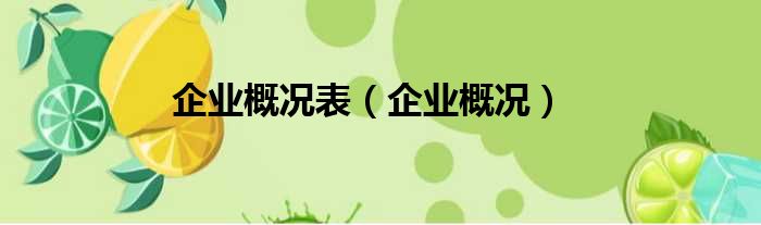 企业概况表（企业概况）