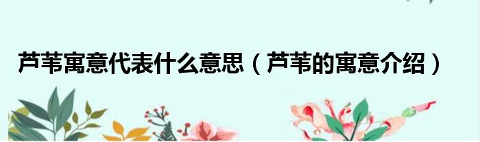 芦苇寓意代表什么意思（芦苇的寓意介绍）