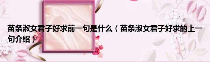 苗条淑女君子好求前一句是什么（苗条淑女君子好求的上一句介绍）