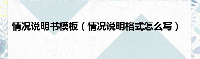 情况说明书模板（情况说明格式怎么写）