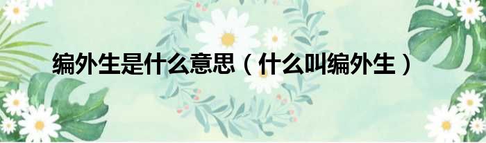 编外生是什么意思（什么叫编外生）