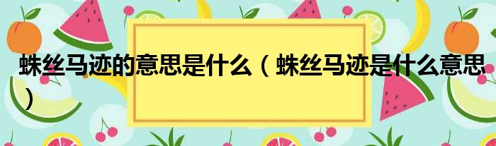蛛丝马迹的意思是什么（蛛丝马迹是什么意思）