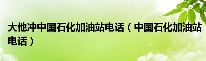 大他冲中国石化加油站电话（中国石化加油站电话）