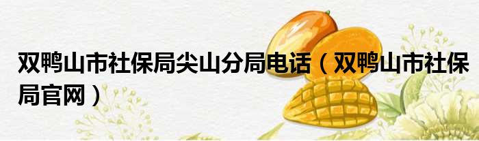 双鸭山市社保局尖山分局电话（双鸭山市社保局官网）