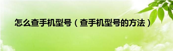 怎么查手机型号（查手机型号的方法）