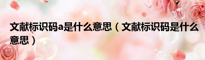 文献标识码a是什么意思（文献标识码是什么意思）