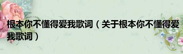 根本你不懂得爱我歌词（关于根本你不懂得爱我歌词）