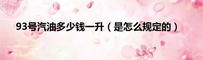 93号汽油多少钱一升（是怎么规定的）