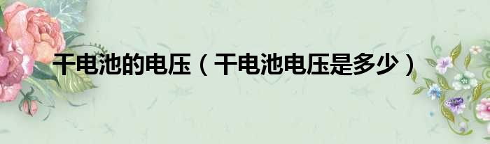 干电池的电压（干电池电压是多少）