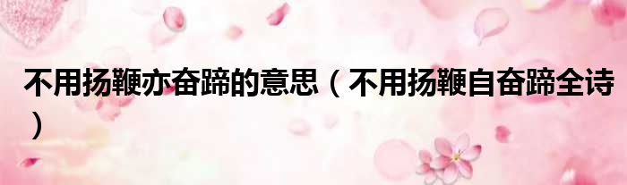 不用扬鞭亦奋蹄的意思（不用扬鞭自奋蹄全诗）