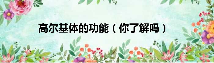 高尔基体的功能（你了解吗）