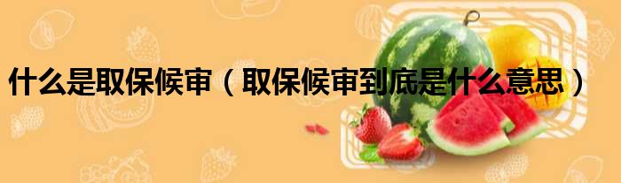 什么是取保候审（取保候审到底是什么意思）