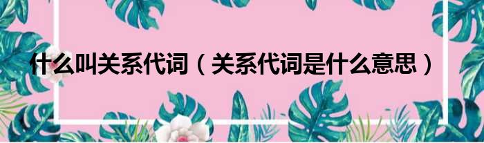 什么叫关系代词（关系代词是什么意思）