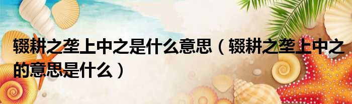 辍耕之垄上中之是什么意思（辍耕之垄上中之的意思是什么）