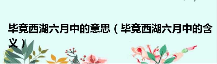 毕竟西湖六月中的意思（毕竟西湖六月中的含义）