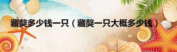 藏獒多少钱一只（藏獒一只大概多少钱）