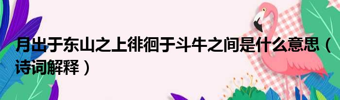 月出于东山之上徘徊于斗牛之间是什么意思（诗词解释）
