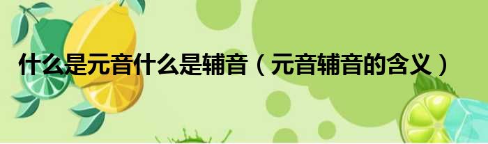 什么是元音什么是辅音（元音辅音的含义）