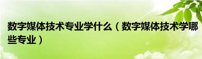 数字媒体技术专业学什么（数字媒体技术学哪些专业）