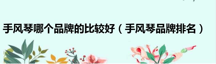 手风琴哪个品牌的比较好（手风琴品牌排名）