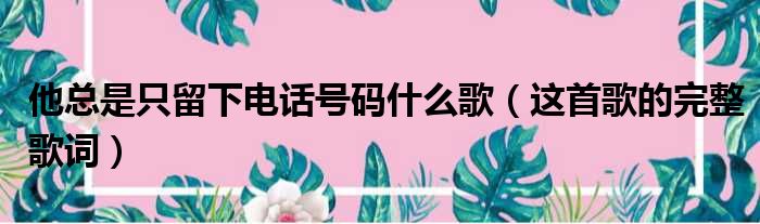 他总是只留下电话号码什么歌（这首歌的完整歌词）