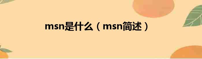 msn是什么（msn简述）