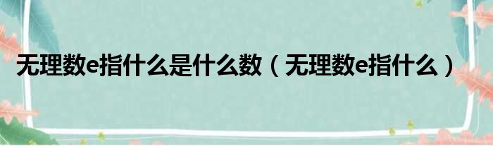 无理数e指什么是什么数（无理数e指什么）