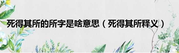 死得其所的所字是啥意思（死得其所释义）