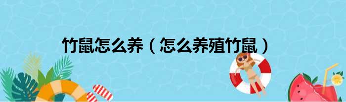 竹鼠怎么养（怎么养殖竹鼠）