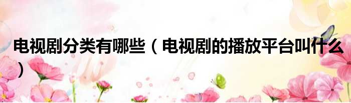 电视剧分类有哪些（电视剧的播放平台叫什么）