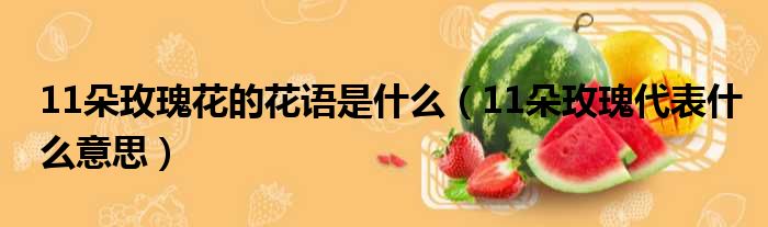 11朵玫瑰花的花语是什么（11朵玫瑰代表什么意思）