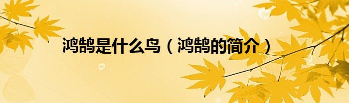 鸿鹄是什么鸟（鸿鹄的简介）