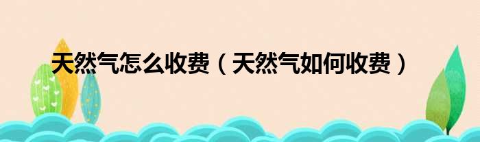 天然气怎么收费（天然气如何收费）