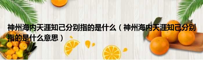 神州海内天涯知己分别指的是什么（神州海内天涯知己分别指的是什么意思）