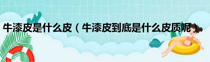 牛漆皮是什么皮（牛漆皮到底是什么皮质呢）