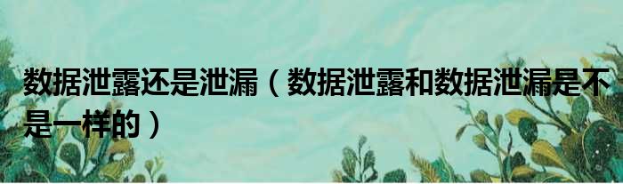 数据泄露还是泄漏（数据泄露和数据泄漏是不是一样的）