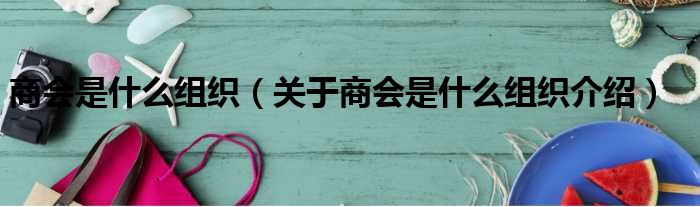 商会是什么组织（关于商会是什么组织介绍）