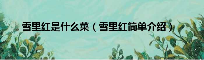 雪里红是什么菜（雪里红简单介绍）