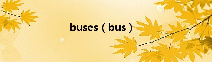 buses（bus）