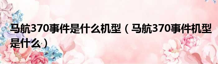 马航370事件是什么机型（马航370事件机型是什么）