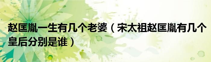 赵匡胤一生有几个老婆（宋太祖赵匡胤有几个皇后分别是谁）