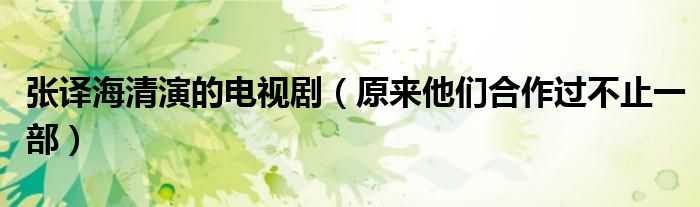 张译海清演的电视剧（原来他们合作过不止一部）