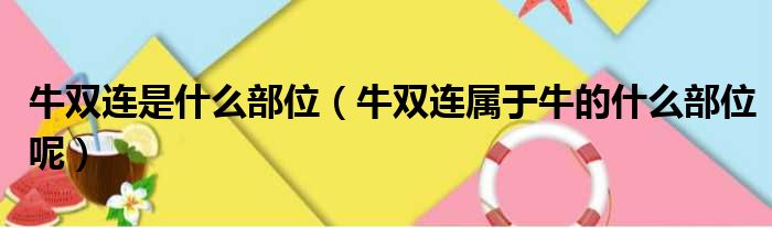 牛双连是什么部位（牛双连属于牛的什么部位呢）