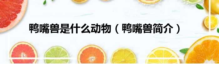 鸭嘴兽是什么动物（鸭嘴兽简介）