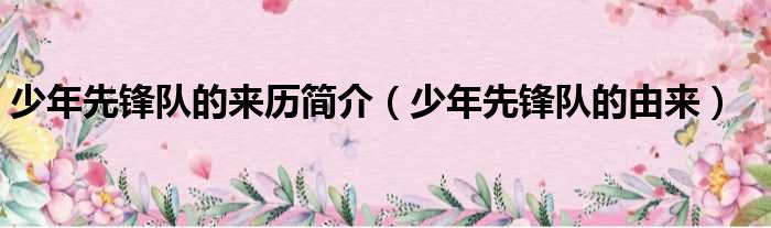 少年先锋队的来历简介（少年先锋队的由来）