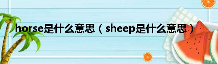 horse是什么意思（sheep是什么意思）